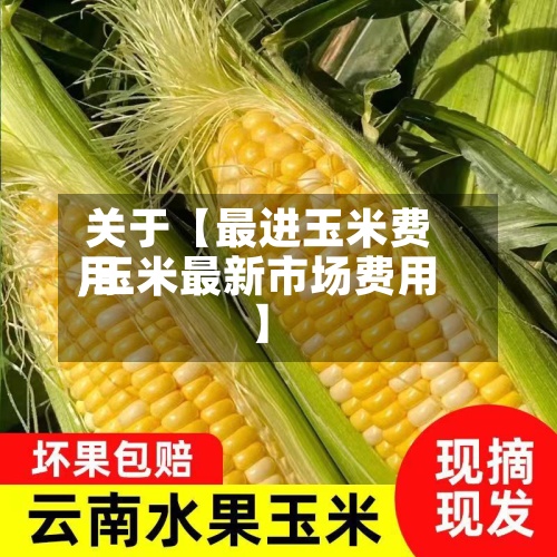 关于【最进玉米费用
,玉米最新市场费用
】