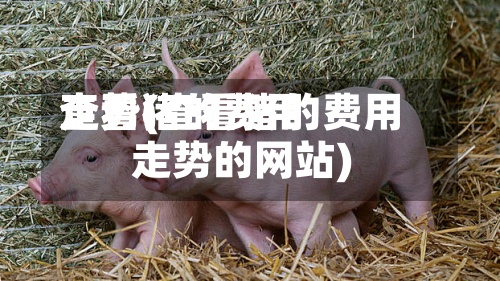 查看猪的费用走势(查看猪的费用走势的网站)-第2张图片