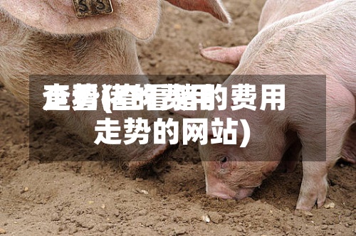 查看猪的费用走势(查看猪的费用走势的网站)