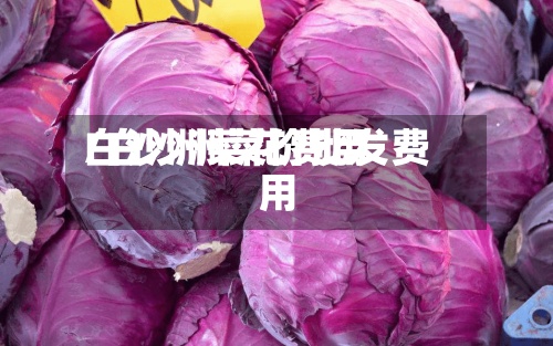 白沙洲菜花费用
/白沙洲菜价批发费用