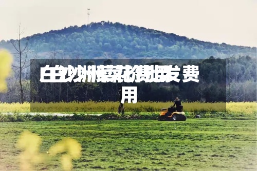 白沙洲菜花费用/白沙洲菜价批发费用-第2张图片