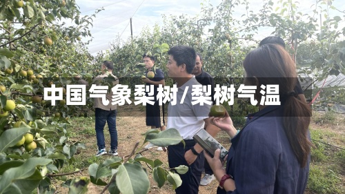 中国气象梨树/梨树气温