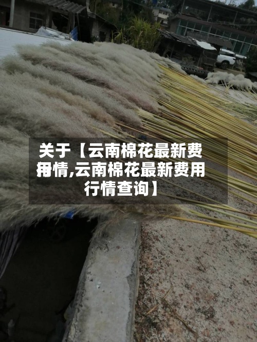 关于【云南棉花最新费用行情,云南棉花最新费用行情查询】