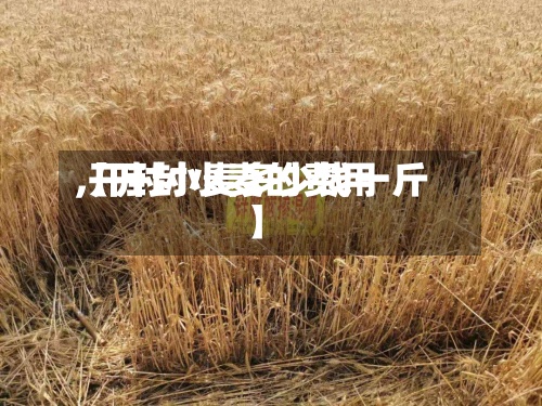 【开封小麦的费用,开封小麦多少钱一斤】-第2张图片