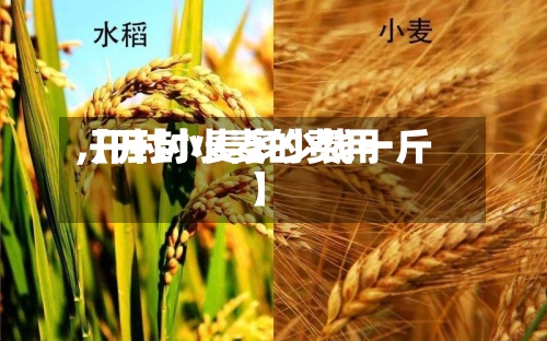 【开封小麦的费用
,开封小麦多少钱一斤】