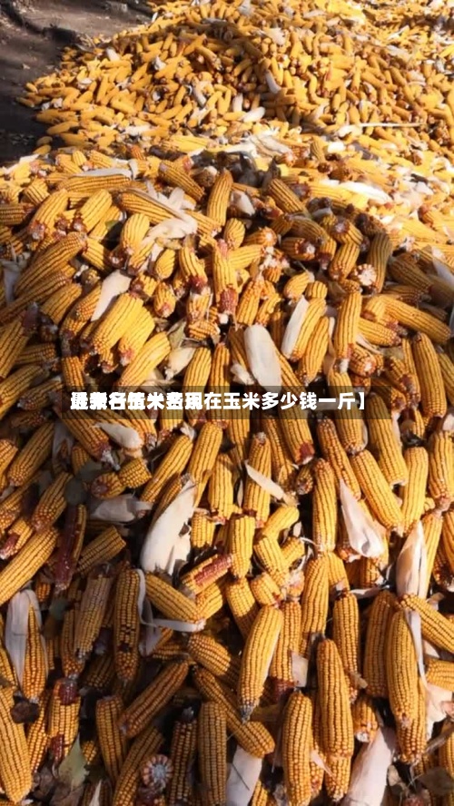 近来
【大名玉米费用
最新行情大名现在玉米多少钱一斤】-第2张图片