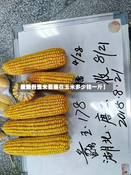 近来【大名玉米费用最新行情大名现在玉米多少钱一斤】