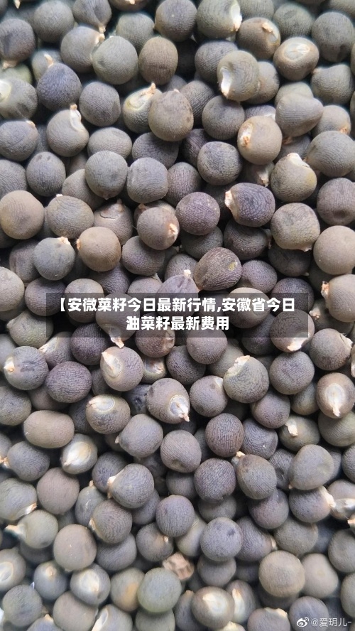 【安微菜籽今日最新行情,安徽省今日油菜籽最新费用
】