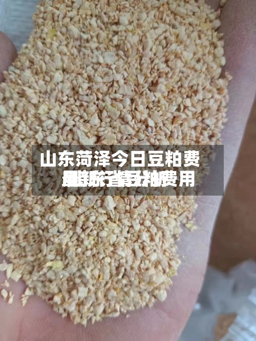 山东菏泽今日豆粕费用
/山东省豆粕费用
最新行情分析