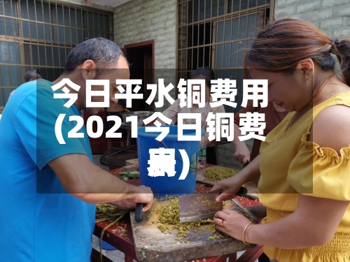 今日平水铜费用
(2021今日铜费用
表)-第2张图片