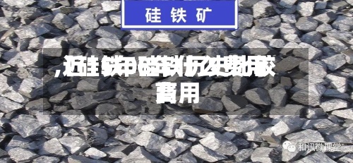 【硅铁08年什么费用,近15年硅铁历史比较高费用】