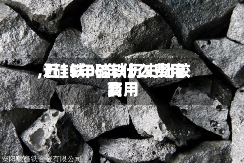 【硅铁08年什么费用
,近15年硅铁历史比较高
费用
】-第2张图片