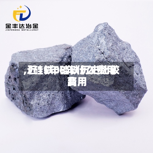 【硅铁08年什么费用
,近15年硅铁历史比较高
费用
】-第3张图片