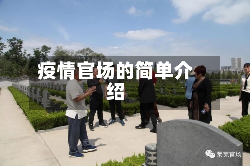 疫情官场的简单介绍-第3张图片