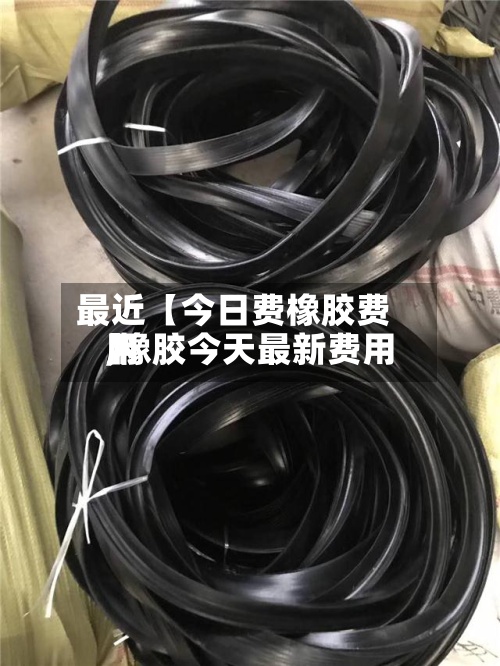 最近【今日费橡胶费用,橡胶今天最新费用】