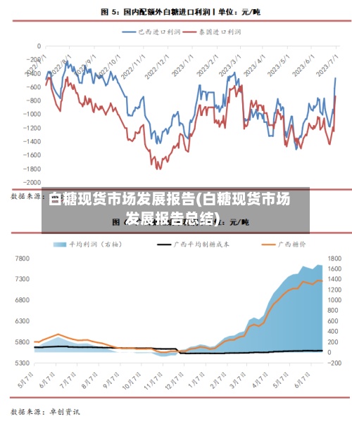 白糖现货市场发展报告(白糖现货市场发展报告总结)