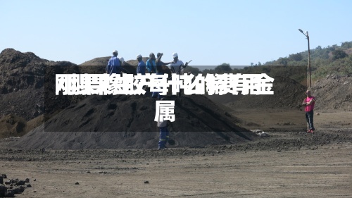 刚果橡胶每吨的费用
/刚果生产什么稀有金属