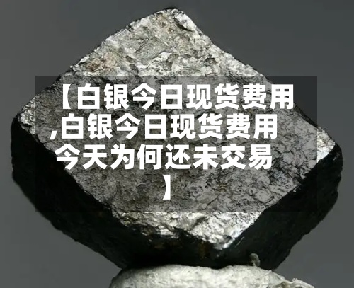 【白银今日现货费用
,白银今日现货费用
今天为何还未交易】-第2张图片