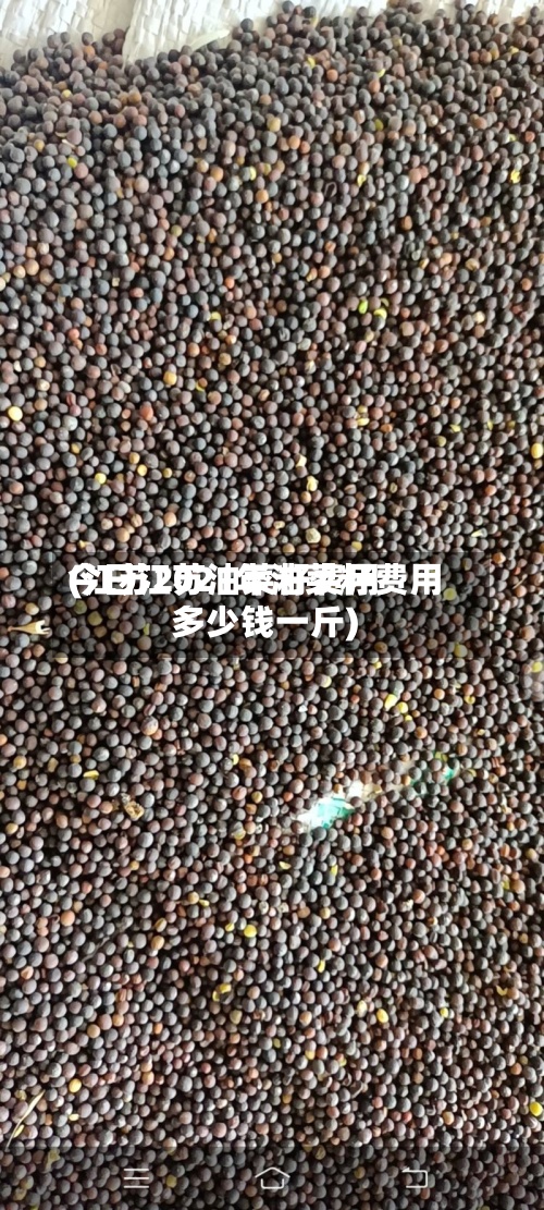 今日江苏油菜籽费用
(江苏2021年油菜籽费用
多少钱一斤)