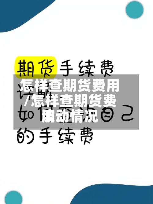 怎样查期货费用/怎样查期货费用波动情况-第2张图片