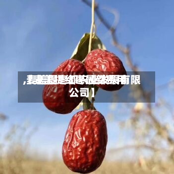 【麦盖提红枣最新费用,麦盖提枣都农业发展有限公司】-第2张图片