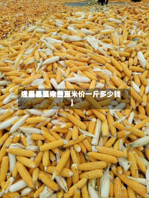 近来
【单县玉米费用
今日单县今日玉米价一斤多少钱】-第3张图片