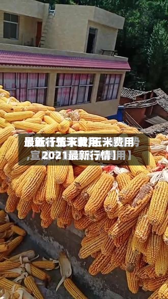 最近【玉米费用
最新行情下载,玉米费用
2021最新行情】-第3张图片