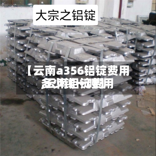 【云南a356铝锭费用
,云南铝锭费用
多少钱一吨】-第3张图片