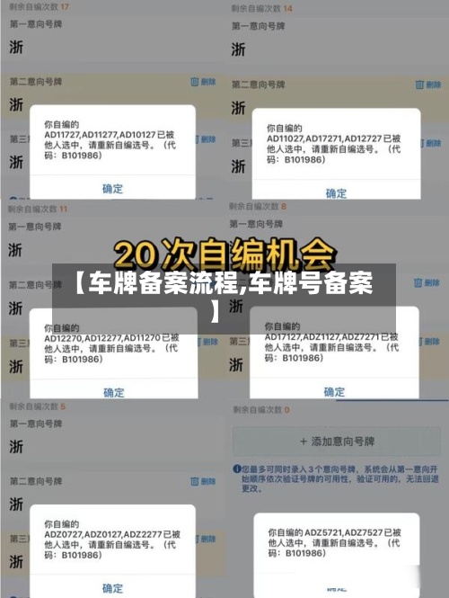【车牌备案流程,车牌号备案】-第2张图片