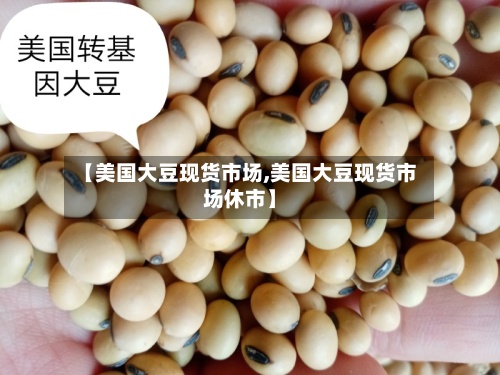 【美国大豆现货市场,美国大豆现货市场休市】-第2张图片