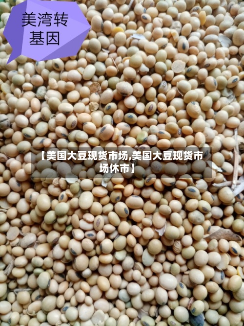 【美国大豆现货市场,美国大豆现货市场休市】