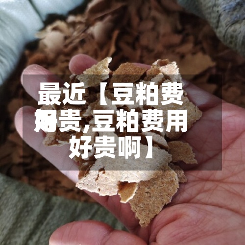 最近【豆粕费用
好贵,豆粕费用
好贵啊】