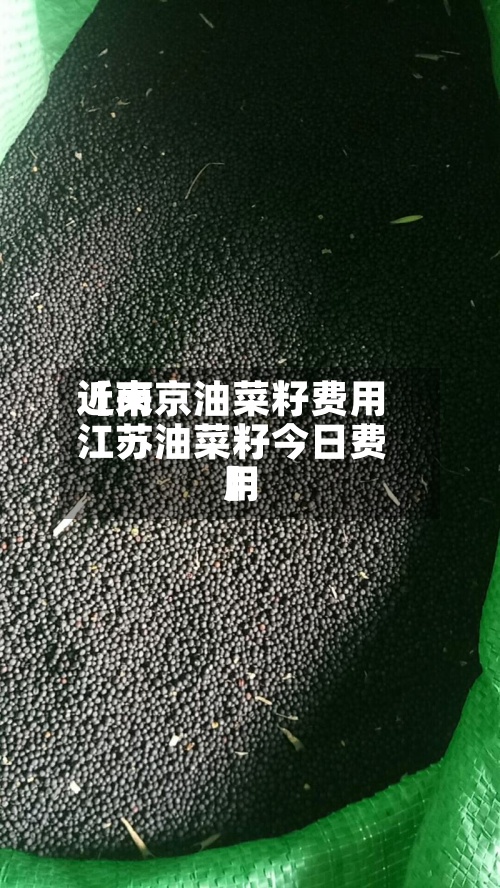 近来
【南京油菜籽费用
江苏油菜籽今日费用
】
