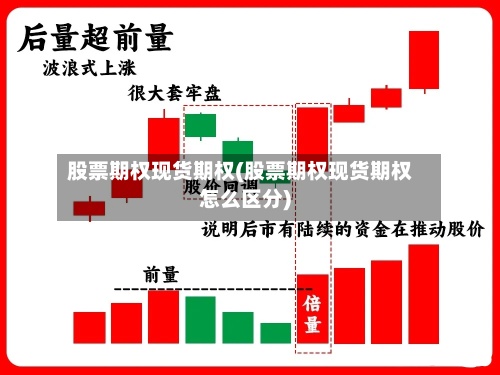 股票期权现货期权(股票期权现货期权怎么区分)