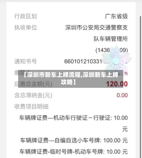 【深圳市新车上牌流程,深圳新车上牌攻略】