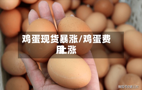 鸡蛋现货暴涨/鸡蛋费用
上涨-第2张图片