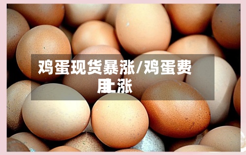 鸡蛋现货暴涨/鸡蛋费用
上涨
