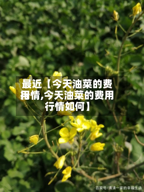 最近【今天油菜的费用
行情,今天油菜的费用
行情如何】