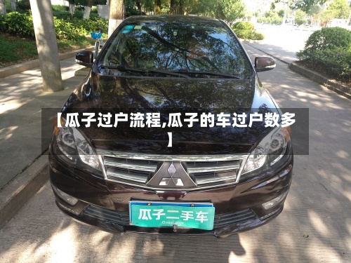 【瓜子过户流程,瓜子的车过户数多】