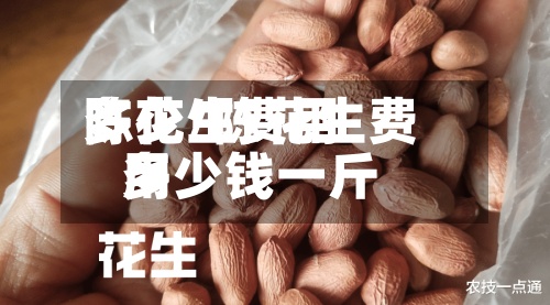 陈花生费用多少/陈花生费用多少钱一斤