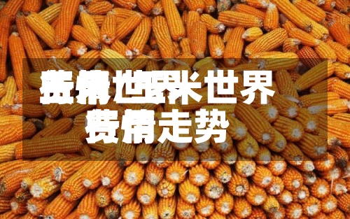 玉米世界
费用
行情/玉米世界
费用
行情走势