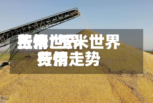 玉米世界费用行情/玉米世界费用行情走势-第3张图片