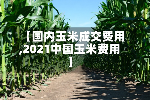 【国内玉米成交费用
,2021中国玉米费用
】-第2张图片