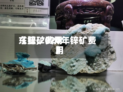 【锌矿费用东盟,2020年锌矿费用】-第2张图片
