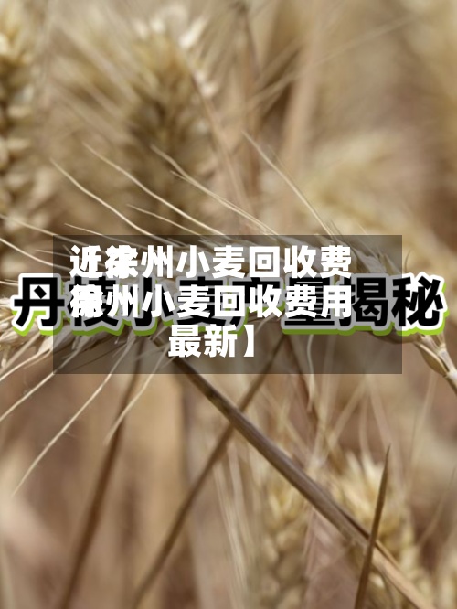 近来
【徐州小麦回收费用
徐州小麦回收费用
最新】-第2张图片