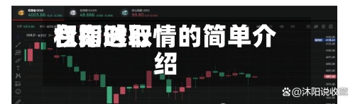 台指选取权即时行情的简单介绍