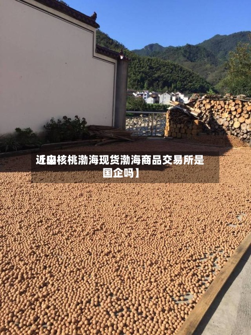 近来【山核桃渤海现货渤海商品交易所是国企吗】