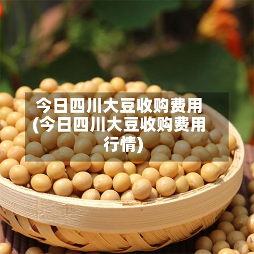 今日四川大豆收购费用(今日四川大豆收购费用行情)-第2张图片