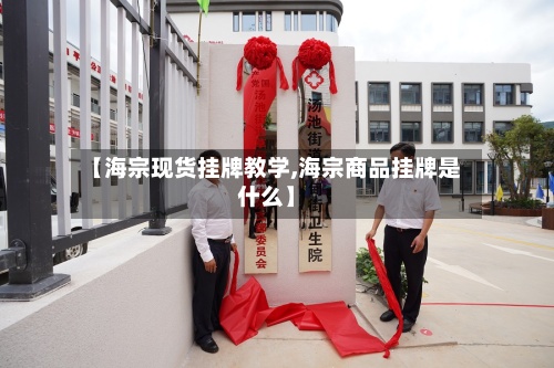 【海宗现货挂牌教学,海宗商品挂牌是什么】-第2张图片
