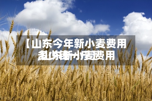 【山东今年新小麦费用,山东新小麦费用多少钱一斤】